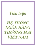 Tiểu luận HỆ THỐNG NGÂN HÀNG THƯƠNG MẠI VIỆT NAM