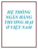 Báo cáo: HỆ THỐNG NGÂN HÀNG THƯƠNG MẠI Ở VIỆT NAM