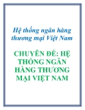 Hệ thống ngân hàng thương mại Việt Nam CHUYÊN ĐỀ: HỆ THỐNG NGÂN HÀNG THƯƠNG MẠI VIỆT NAM