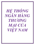 Đề tài: HỆ THỐNG NGÂN HÀNG THƯƠNG MẠI CỦA VIỆT NAM