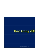 Neo và tường chắn đất - Phần 2