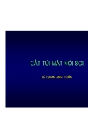 CẮT TÚI MẬT NỘI SOI