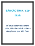 Đề tài: Tổ chức hoạch toán thành phần, tiêu thụ thành phẩm ở công ty rau quả Việt Nam