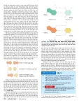 Công nghệ gene : Cơ sở phân tử của di truyền part 2