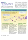 Công nghệ gene : Cơ sở phân tử của di truyền part 4