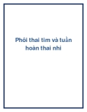 Phôi thai tim và tuần hoàn thai nhi