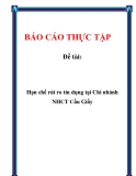 Đề tài: Hạn chế rủi ro tín dụng tại Chi nhánh NHCT Cầu Giấy