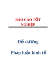 Đề cương pháp luật kinh tế