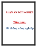 Tiểu luận: Hệ thống nông nghiệp