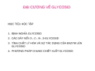 ĐẠI CƯƠNG VỀ GLYCOSID