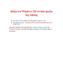 Thủ thuật Windows XP: Kiểm tra Windows XP có bản quyền hay không