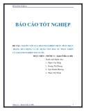 Đề tài " nguồn vốn của doanh nghiệp, phân tích thực trạng huy động và sử dụng vốn đầu tư phát triển của doanh nghiệp nhà nước "