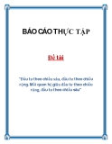 Đề tài "Đầu tư theo chiều sâu, đầu tư theo chiều rộng. Mối quan hệ giữa đầu tư theo chiều rộng, đầu tư theo chiều sâu"