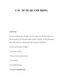 CÁC ÁP XE QUANH HỌNG 