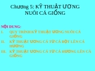 KỸ THUẬT ƯƠNG NUÔI CÁ GIỐNG