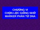 Chương VI: CHỌN LỌC GiỐNG NHỜ MARKER PHÂN TỬ DNA