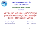 XÂY DỰNG MÔ HÌNH NUÔI TÔM SÚ (Penaeus Monodon) CÔNG NGHIỆP THEO HƯỚNG BỀN VỮNG