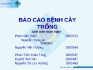 Báo cáo: Sự lưu tồn, lan truyền của nấm PYRICULARIA ORYZAE và biện pháp quản lí tổng hợp