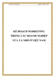 KẾ HOẠCH MARKETING TRONG CÁC DOANH NGHIỆP VỪA VÀ NHỎ Ở VIỆT NAM