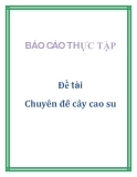 Đề tài: Chuyên đề cây cao su