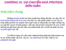 Chương IX: Sự chuyển hóa protein đơn giản