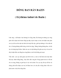 HỒNG BAN RẮN BAZIN ( Erythème induré de Bazin ) 