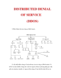 DISTRIBUTED DENIAL OF SERVICE (DDOS)_2