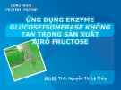 Báo cáo: "ứng dụng công nghệ enzyme GLUCOSEISOMERASE không tan trong sản xuất xiro fructose