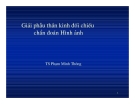 Giải phẫu thần kinh