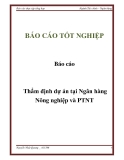 Báo cáo: Thẩm định dự án tại Ngân hàng Nông nghiệp và PTNT