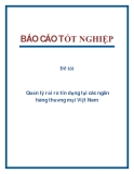 Đề tài: Quản lý rủi ro tín dụng tại các ngân hàng thương mại Việt Nam