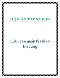 Luận văn quản lý rủi ro tín dụng