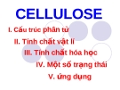 cellulose