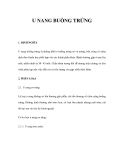 TỔNG QUAN U NANG BUỒNG TRỨNG 