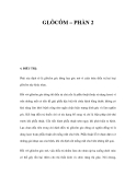 GLÔCÔM – PHẦN 2 