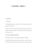 GLÔCÔM – PHẦN 1 