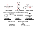 Bài giảng dẫn xuất Hydrocacbone - Dẫn xuất hydroxi (Ancol-Phenol-Ete) part 2