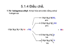 Bài giảng dẫn xuất Hydrocacbone - AMIN-MUỐI DIAZONI part 2