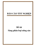 Đề tài: Sàng phân loại nông sản