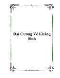 Đại cương về kháng sinh