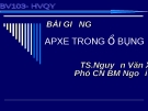 APXE TRONG Ổ BỤNG