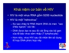 Bài giảng điều trị HIV : SINH BỆNH HỌC VÀ DIỄN BIẾN TỰ NHIÊN CỦA NHIỄM HIV part 2