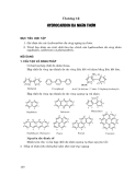 Chương 12: Hydro cacbon đa nhân thơm