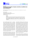 Báo cáo sinh học: "Spatially patterned gradients of synaptic connectivity are established early in the developing retina"