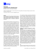 Báo cáo sinh học: "Adaptation by introgression"