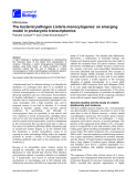 Báo cáo sinh học: "The bacterial pathogen Listeria monocytogenes: an emerging model in prokaryotic transcriptomics"