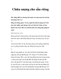 Chữa sượng cho sầu riêng 