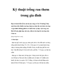 Kỹ thuật trồng rau thơm trong gia đình 