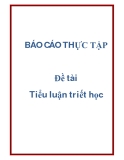 Đề tài: Tiểu luận triết học