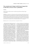 Báo cáo lâm nghiệp: "The root-plant ratio changes in the first growing periods of wild cherry (Prunus avium L.) plantations"